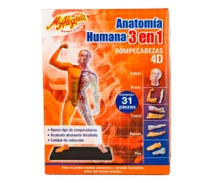 Anatomía Humana 3 En 1 - Mi Alegría*Mi Alegria mexico Discount