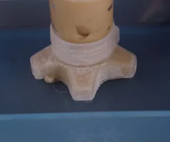 Fábrica De Galletas De Animalitos - Mi Alegría*Mi Alegria mexico Fashion