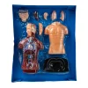 Torso Humano - Mi Alegría*Mi Alegria mexico Outlet