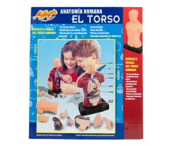Torso Humano - Mi Alegría*Mi Alegria mexico Outlet